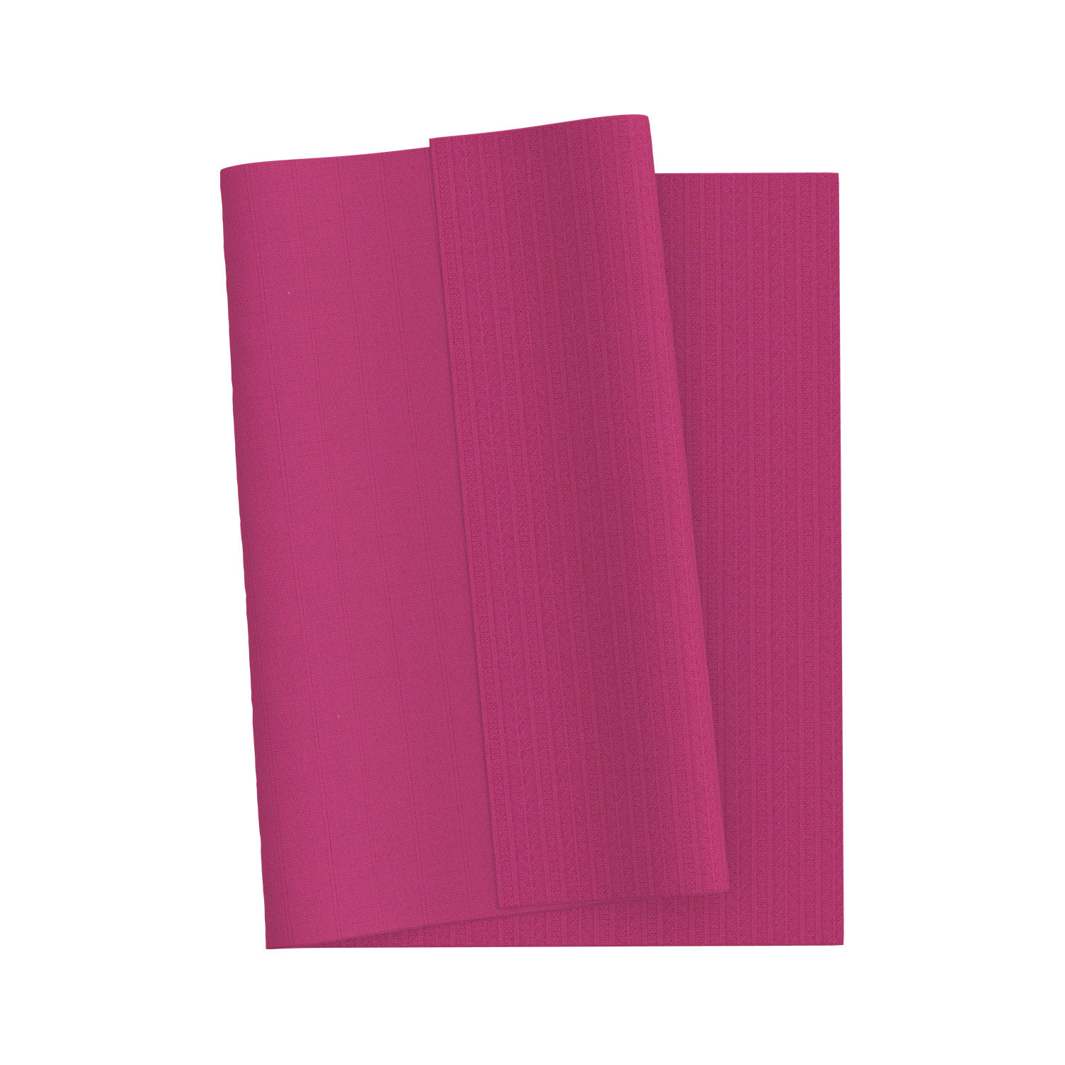 RIB T/R/S Pointel